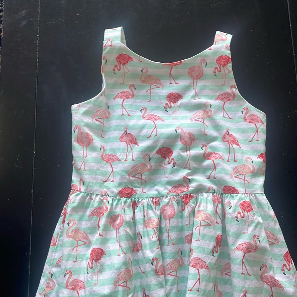 FLORENCE EISEMAN Girl’s Dress Size 10